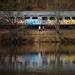 Walkers enjoy warm weather and make their way past a colorful graffitied train car as they walk along the Huron River March 19. Melanie Maxwell I AnnArbor.com